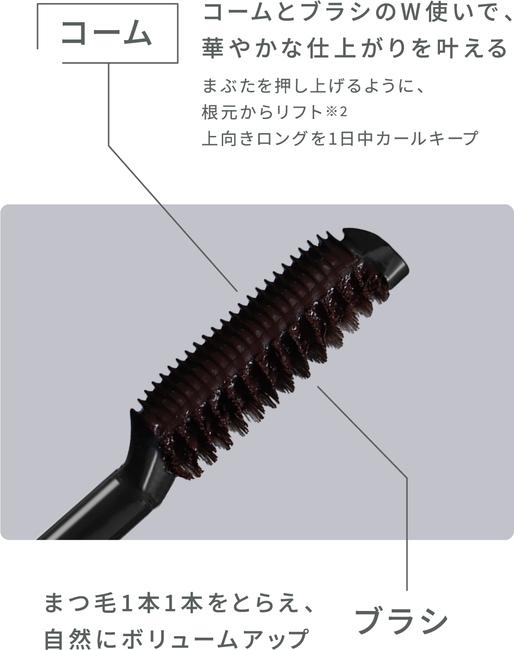 コーム＆ブラシ一体型 2WAYブラシの先端部分の様子と詳細説明
