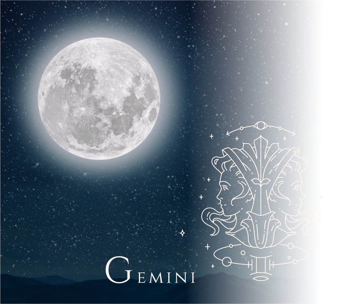 GEMINI
