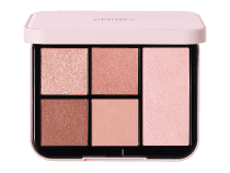 FACE STYLIST n