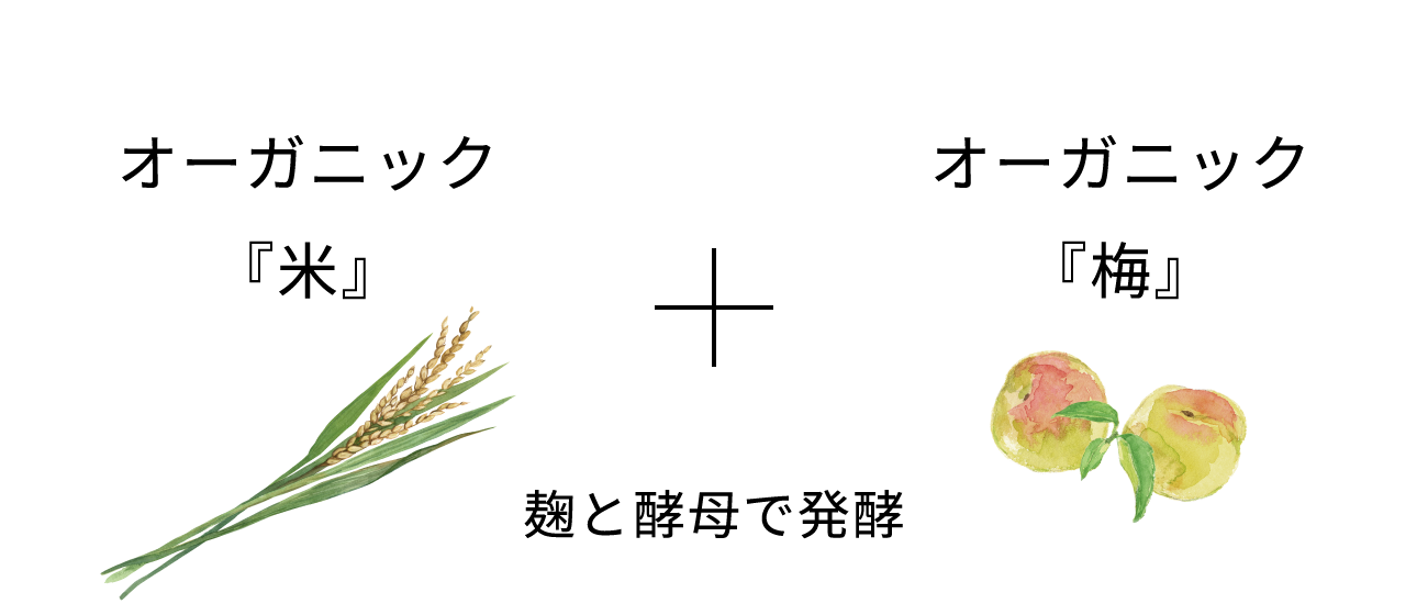 オーガニック『米』とオーガニック『梅』を麹と酵母で発酵