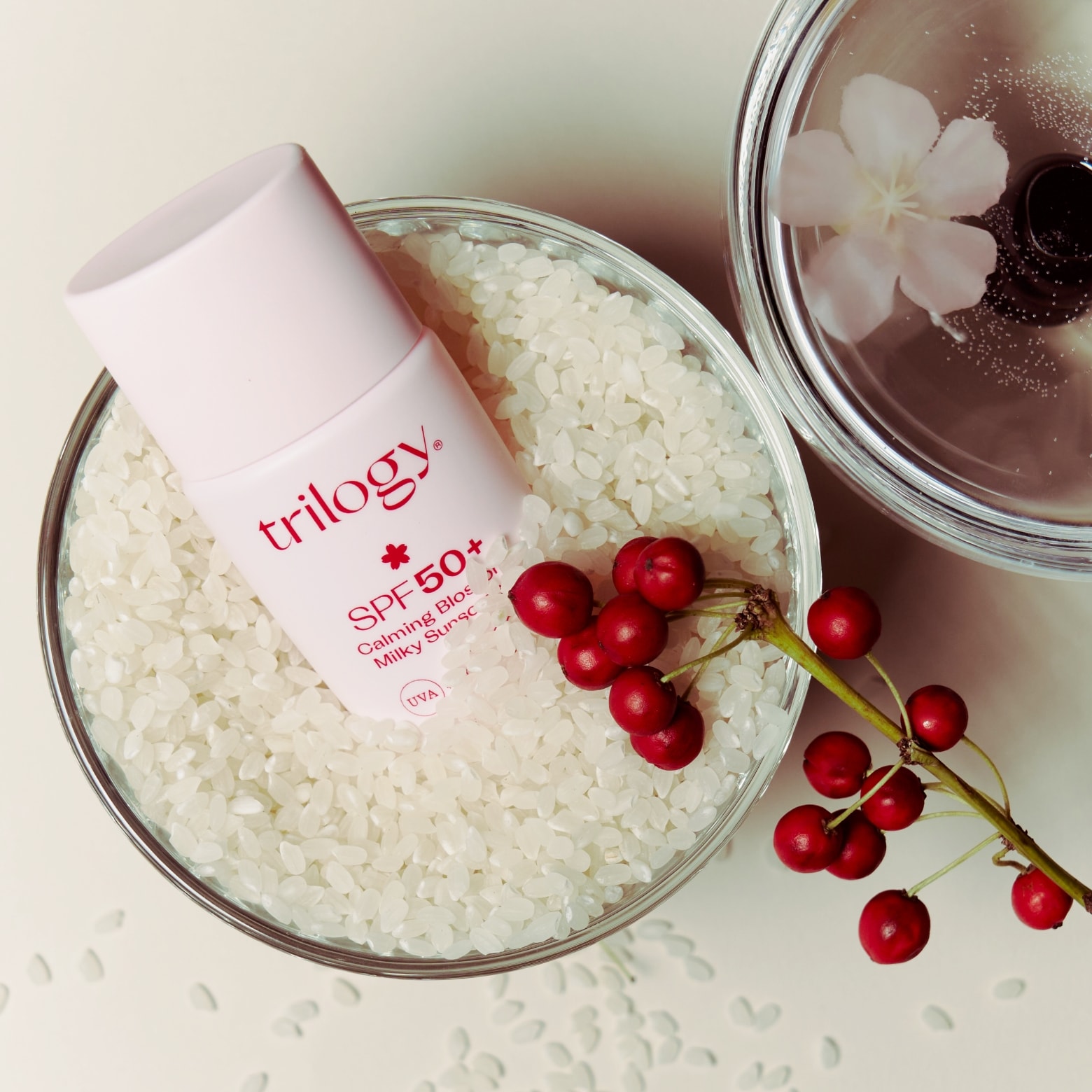 カーミングブロッサム UVミルク