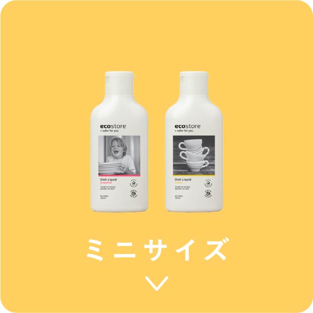 ミニサイズ