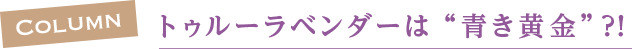 トゥルーラベンダーは“青き黄金”?!