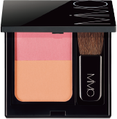 ビオモイスチュアチーク（デュオ02 デライト）