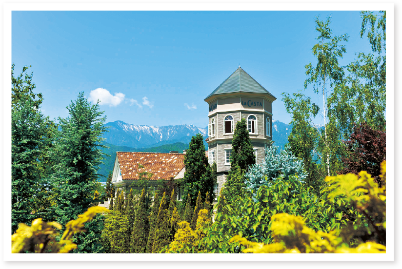 美しい髪に導くスキャルプケア