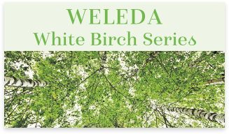 WELEDA White Birch Series