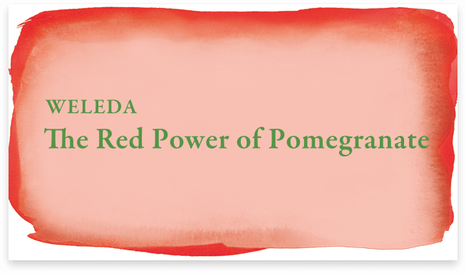 WELEDA The Red Power of Pomegranate