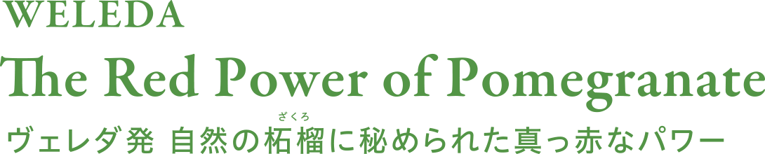 The Red Power of Pomegranate