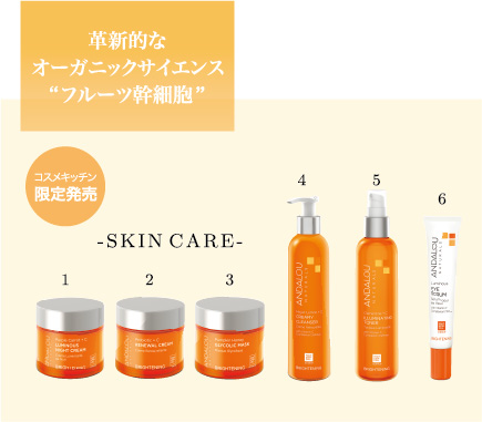 SKIN CARE 革新的な オーガニックサイエンス &ldquo;フルーツ幹細胞&rdquo;