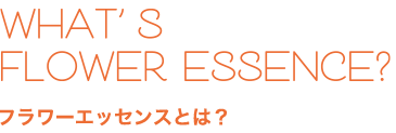 WHAT’S FLOWER ESSENCE？ フラワーエッセンスとは？
