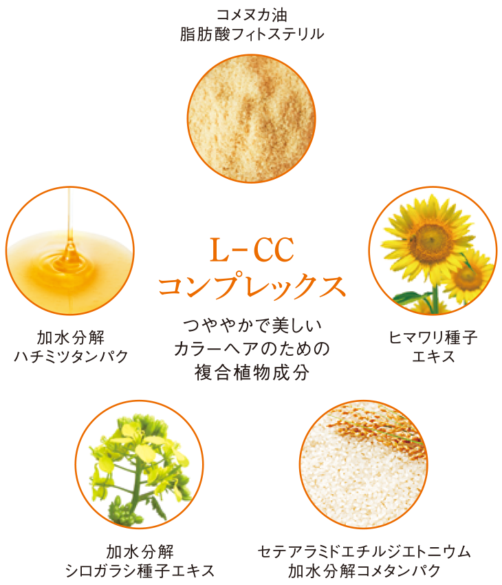 L-CC コンプレックス つややかで美しいカラーヘアのための複合植物成分