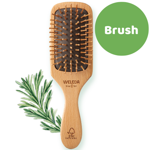 Weleda 100周年 コスメキッチンジャーナル Vol 29 Spring Edition Cosme Kitchen Webstore Weleda 100周年 コスメキッチンジャーナル Vol 29 Spring Edition Cosme Kitchen Webstore