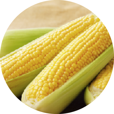 トウモロコシタンパクエキス