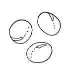 醤油粕由来ヒト型セラミド