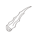 オーガニックアロエ水