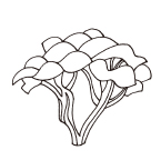 植物性コラーゲン