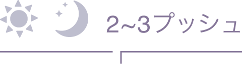 2~3プッシュ